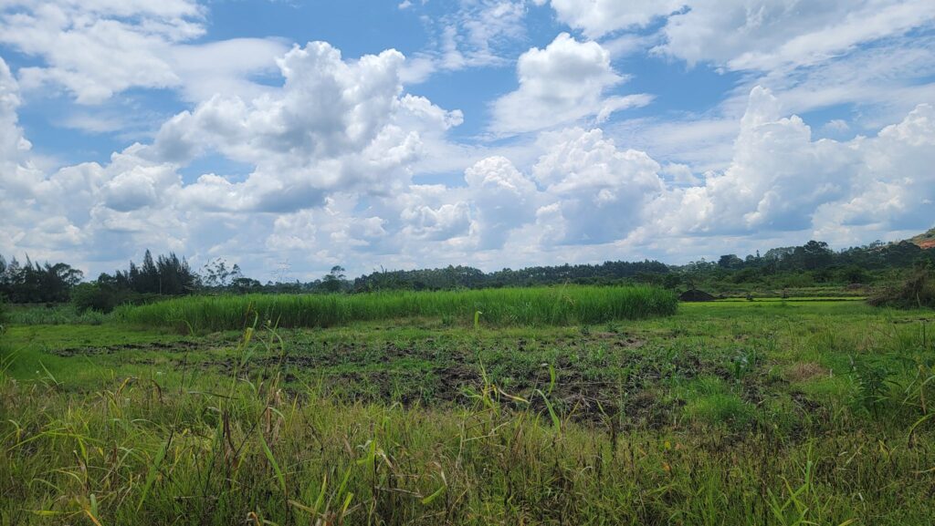 GAyza-Janda-Land-105-acres