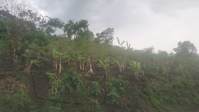 Kagadi-23-acres