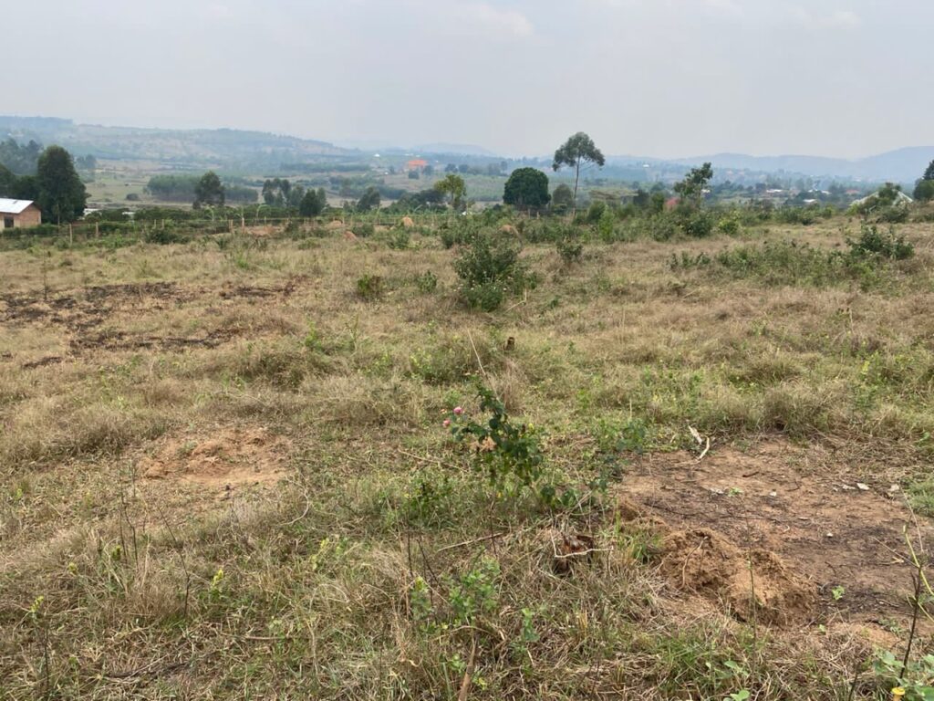 Mityana-land-53-acres