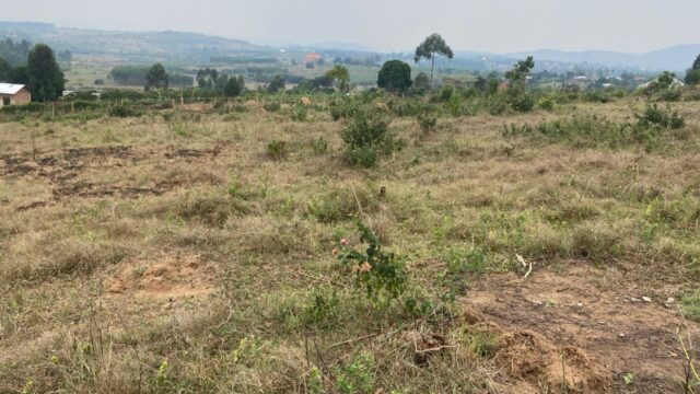 Mityana-land-53-acres